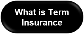 What is term
